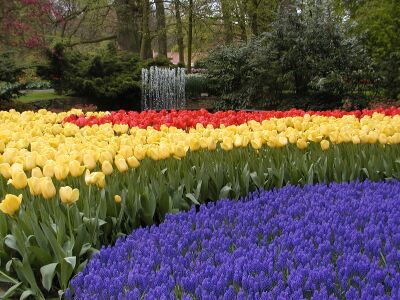 写真:オランダ・花と美術と運河を巡る(2001年5月 )