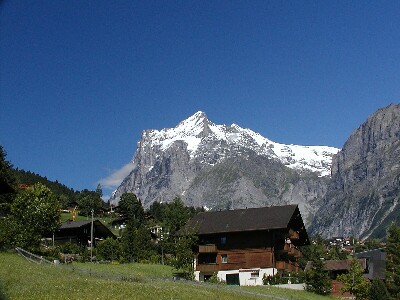 写真:グリンデルワルト周辺ハイキング(2001年夏)