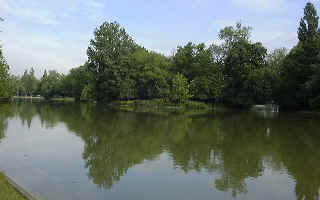 写真:ヴァンセンヌの森