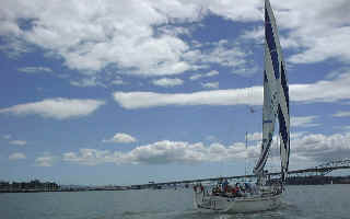 写真:ニュージーランド最大の都市オークランド観光