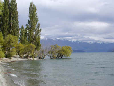 写真:湖に面した静かな街ワナカ