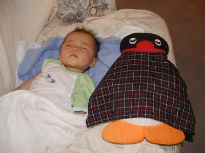 写真:またまた休養