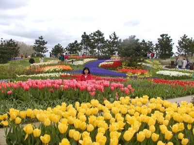 写真:オランダ･ベルギーへ