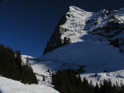 写真:オーバーヨッホやラウバーホルン、ウィキシーでスキー