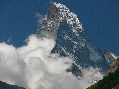 写真:お留守番組の7月29日