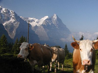 写真:グローセ･シャイデックからラウフビュールへハイキング