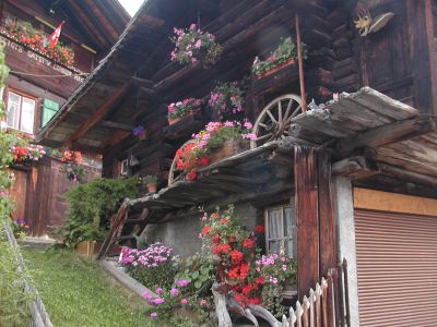 写真:ミューレン村内ハイキング