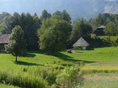 写真:バレンベルグ国立野外博物館-午前
