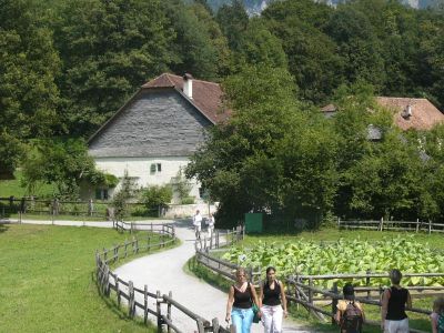 写真:バレンベルグ国立野外博物館-午後