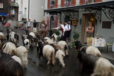 写真:子守とトロッケナーシュテーク展望台