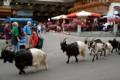 写真:ランダまでお見送りし、父子で過ごす
