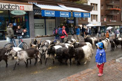 写真:悪天候のため休養