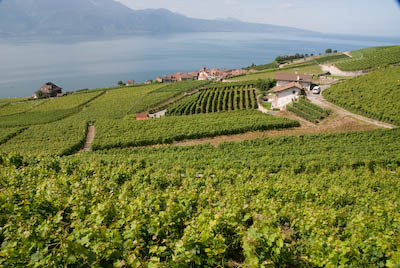 写真:世界遺産ラヴォー１・シェーブルからサン・サフォランへ