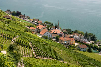 写真:世界遺産ラヴォー3・リュトリとキュリのブドウ畑めぐり