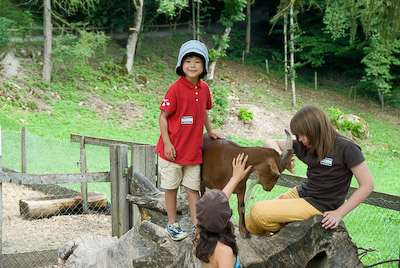 写真:バレンベルグ野外博物館（夕方）