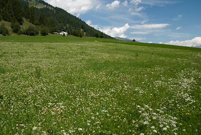 写真:サンタマリアからミュスタイアへハイキング