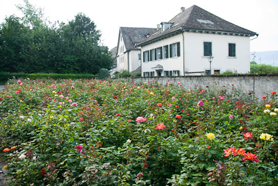 写真:ラッパースヴィルの朝