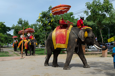 写真:アユタヤ2～ワット・マハータートと象乗り体験