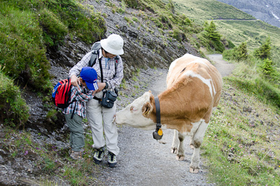 写真:グローセ・シャイデックからフィルストへ1