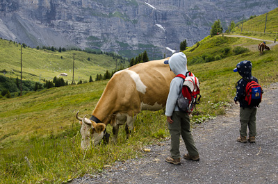 写真:ウェンゲンアルプへ線路沿いハイキング