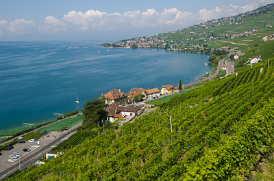 写真:世界遺産ラヴォー地区ハイキング2