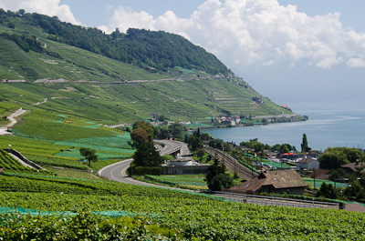写真:世界遺産ラヴォー地区ハイキング3