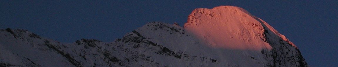 写真:グリンデルワルト周辺ハイキング(2001年夏)